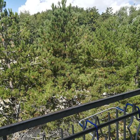 Da Santina Apartment Pieve Santo Stefano Luaran gambar