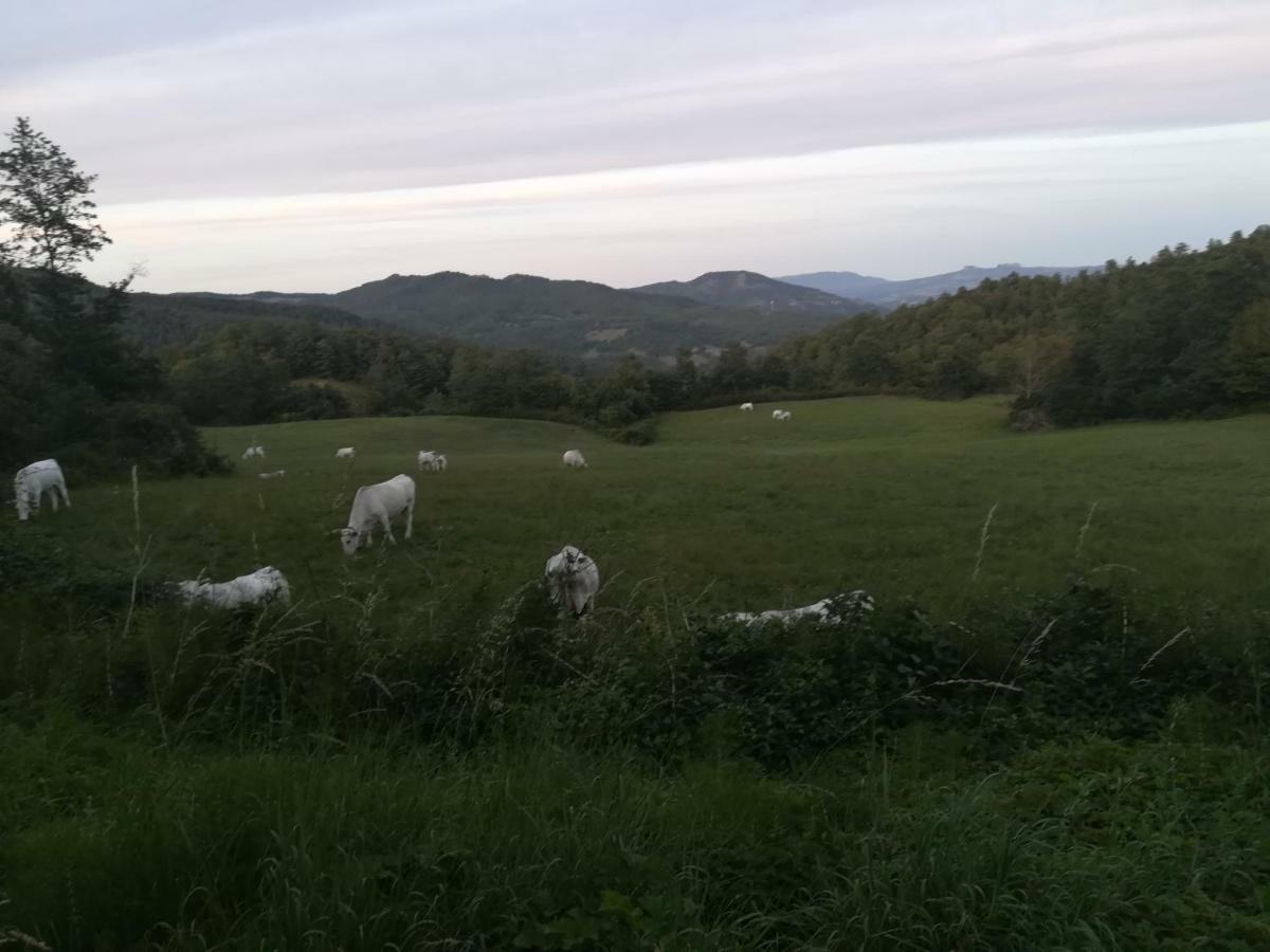 Da Santina Apartment Pieve Santo Stefano Luaran gambar